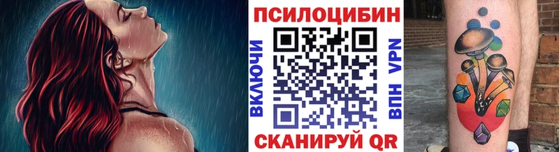 Псилоцибиновые грибы мухоморы  блэк спрут маркетплейс  Россошь 