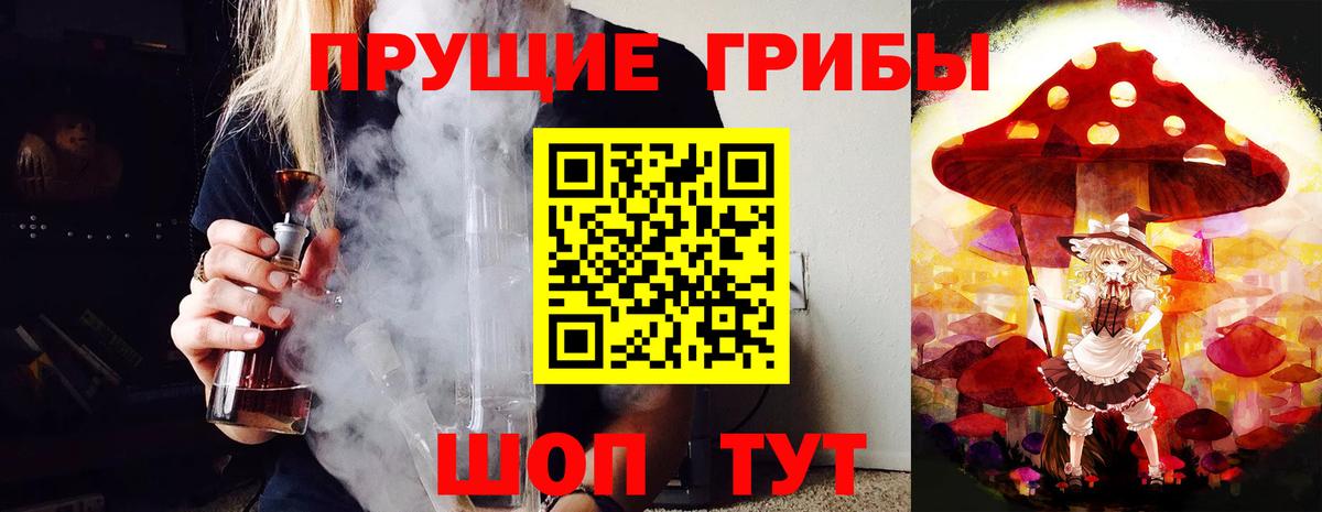 Россошь  Псилоцибиновые грибы GOLDEN TEACHER  Вход с VPN 